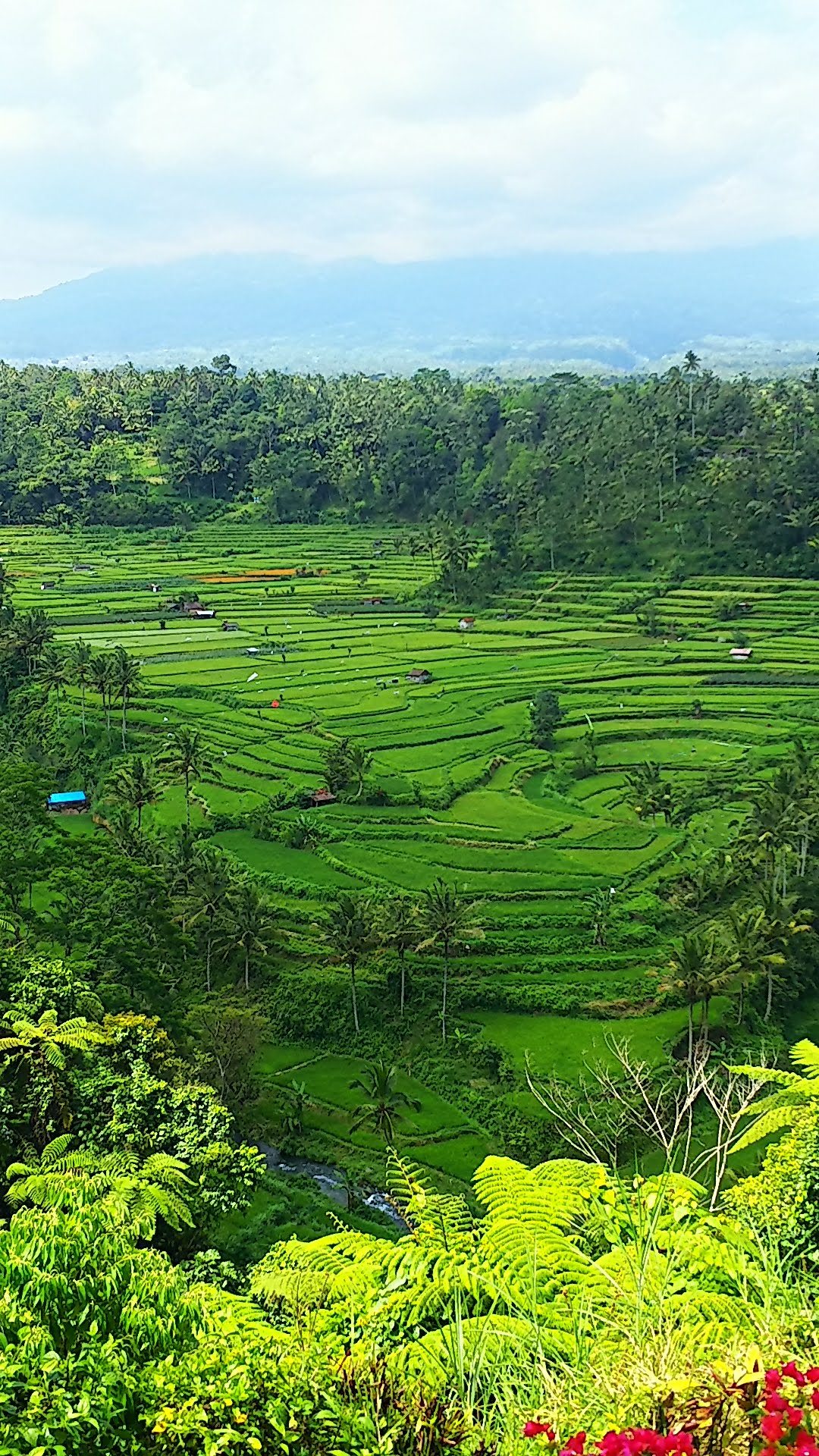 ホームページを新しくしました！